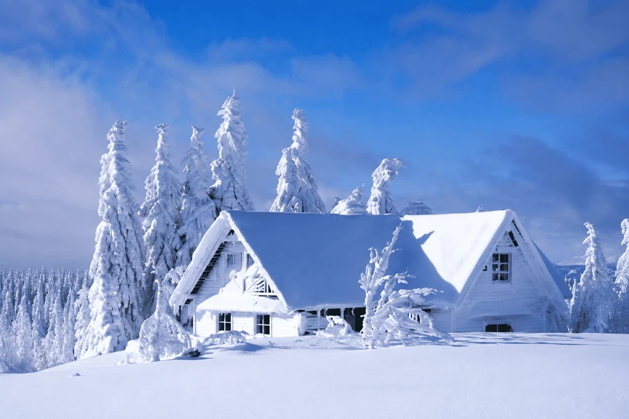 e89b123c-a672-41d4-8556-f57eb1c956ad-chatgpt-image-2-сент.-2026-г.-18_28_17.png